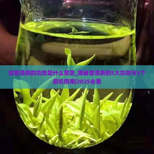 说普洱茶的功效是什么意思