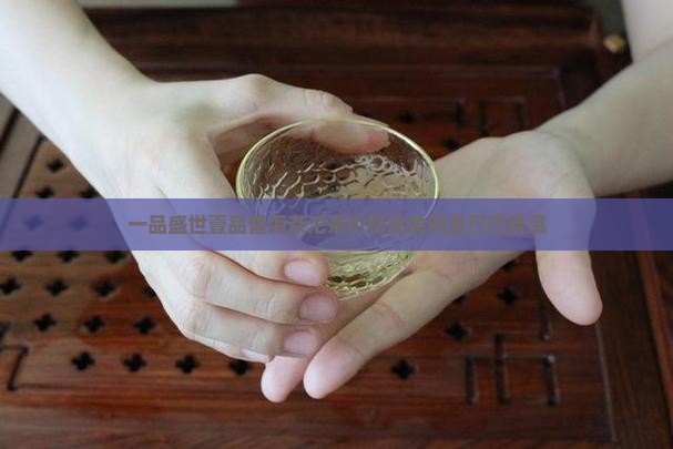 盛世壹品普洱茶沱茶