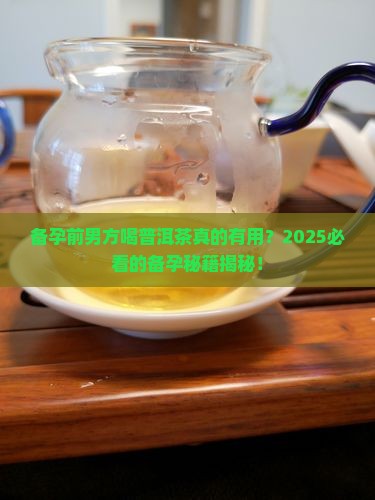 备孕前男方喝普洱茶