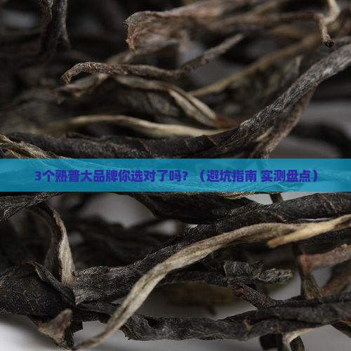 熟普有哪些大品牌