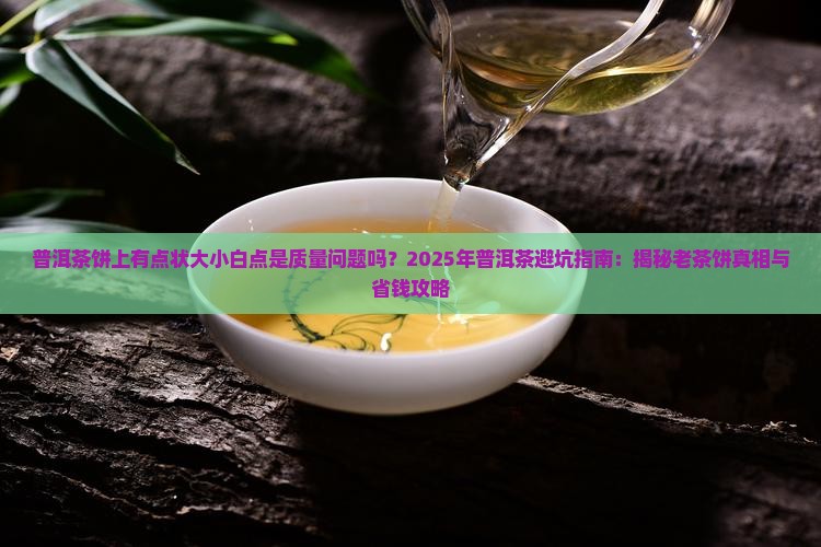 普洱茶饼上有点状大小白点