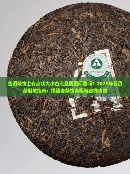 普洱茶饼上有点状大小白点
