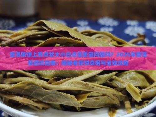 普洱茶饼上有点状大小白点