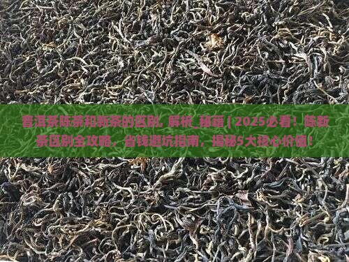 普洱茶陈茶和新茶的区别