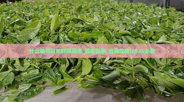 什么茶可以长时间浸泡 什么茶可以长时间浸泡