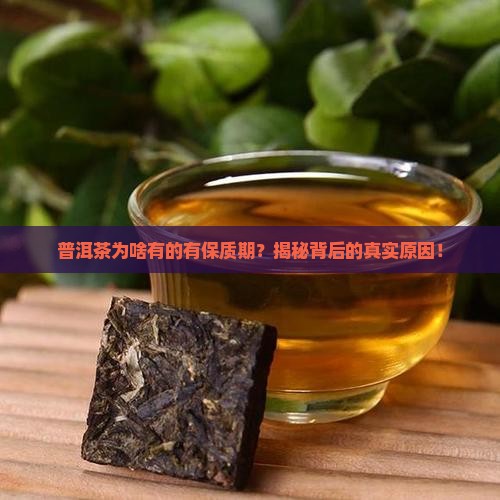 普洱茶有的有保质期为什么