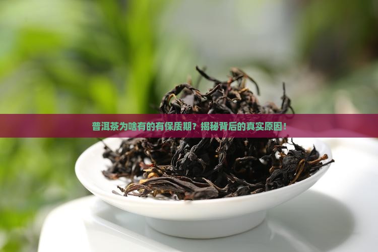 普洱茶有的有保质期为什么