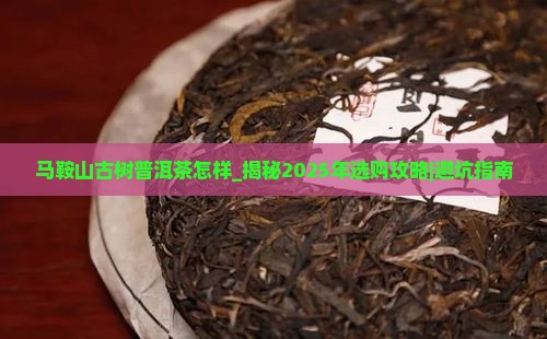 马鞍山古树普洱茶怎样