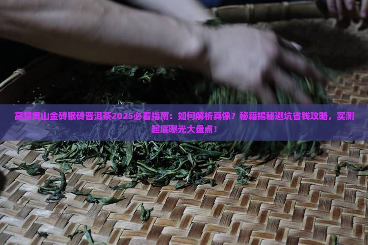 高黎贡山的金砖银砖普洱茶