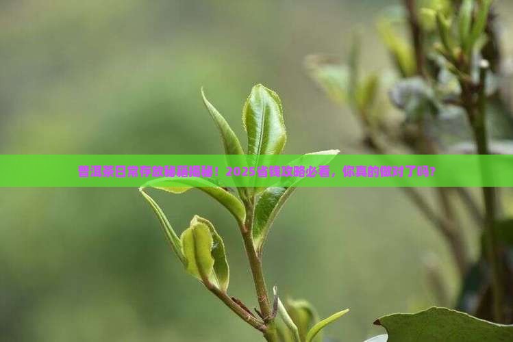 普洱茶日常如何存放保存