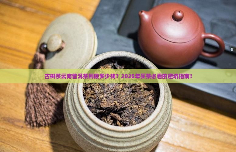 古树茶云南普洱茶多少钱
