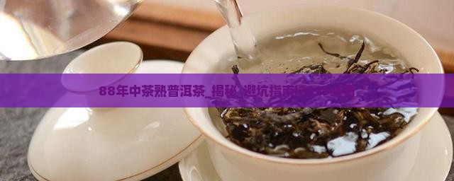 88年中茶熟普洱茶
