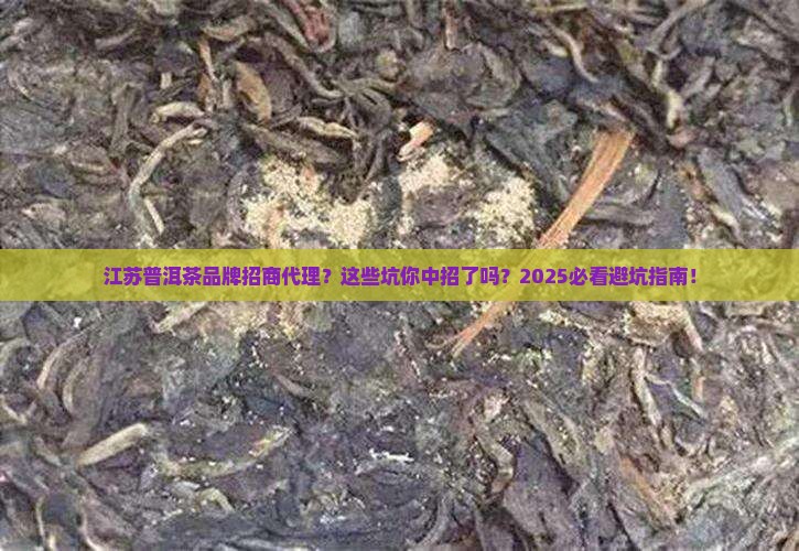 江苏普洱茶品牌招商代理