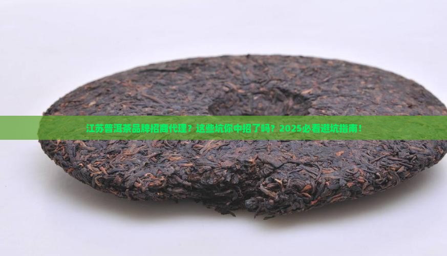 江苏普洱茶品牌招商代理