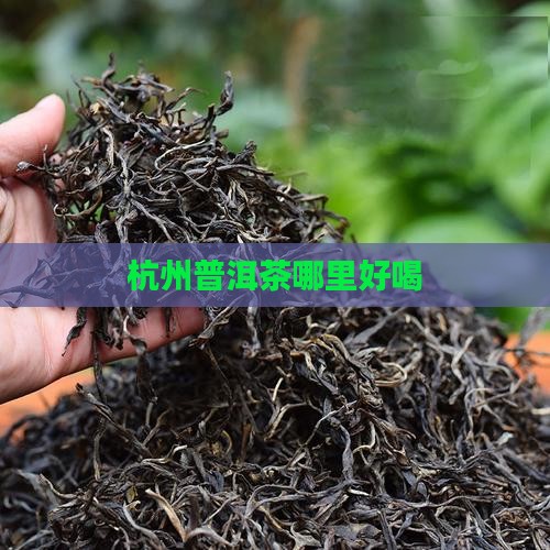杭州哪里喝普洱茶