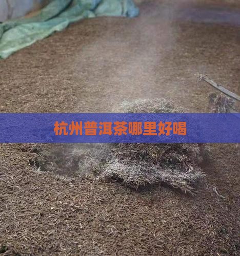 杭州哪里喝普洱茶