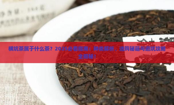 横坑茶属于什么茶