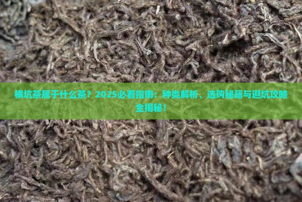 横坑茶属于什么茶