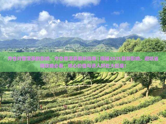 方仓对普洱茶的影响