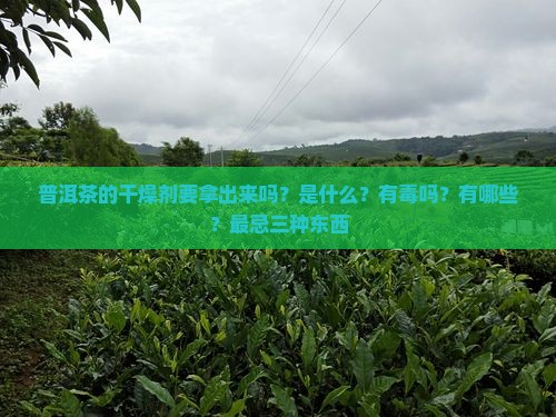 普洱茶的干燥剂