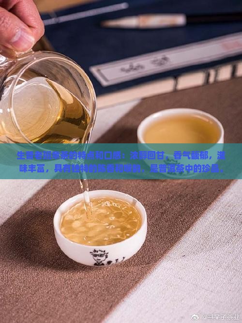 生普老班章茶的特点和口感