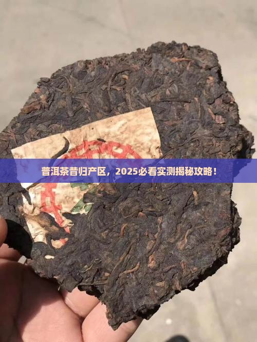 普洱茶昔归产区