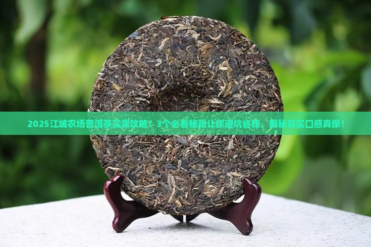 江城农场普洱茶
