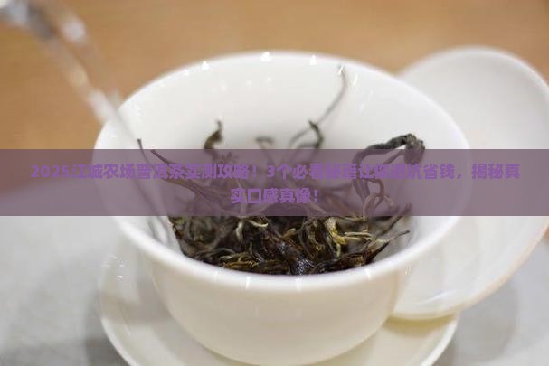 江城农场普洱茶