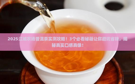 江城农场普洱茶