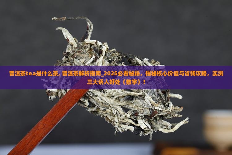 普洱茶tea是什么茶