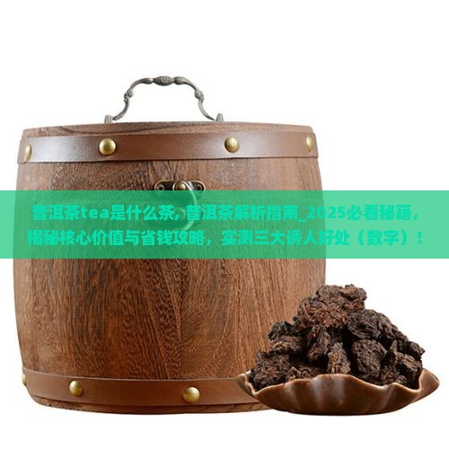 普洱茶tea是什么茶