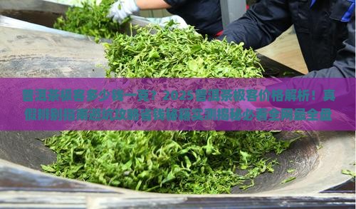 普洱茶极客多少钱一克