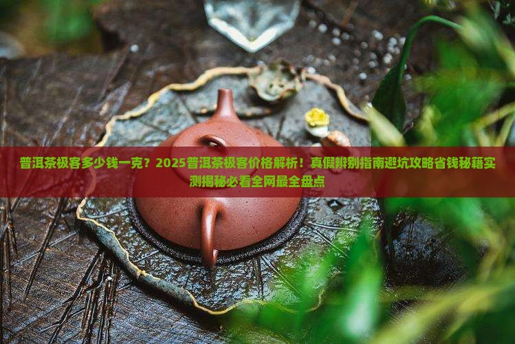 普洱茶极客多少钱一克