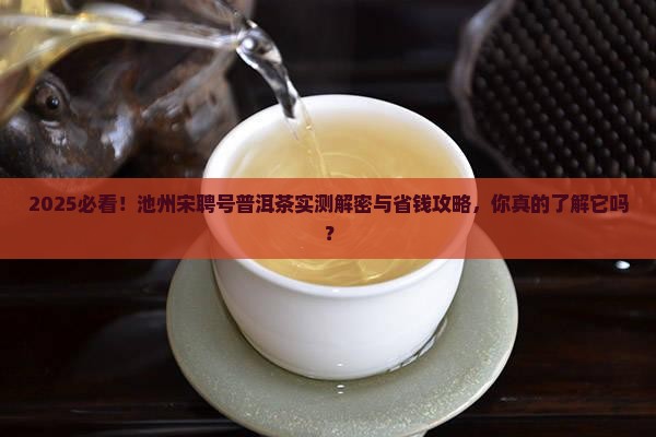 池州宋聘号普洱茶
