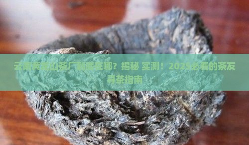 云南黄龙山茶厂在哪里