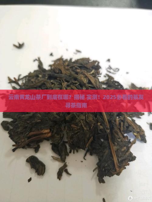 云南黄龙山茶厂在哪里