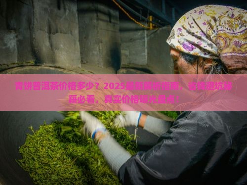 青饼普洱茶价格多少