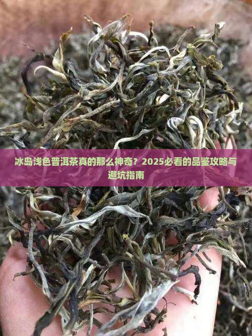 冰岛浅色普洱茶