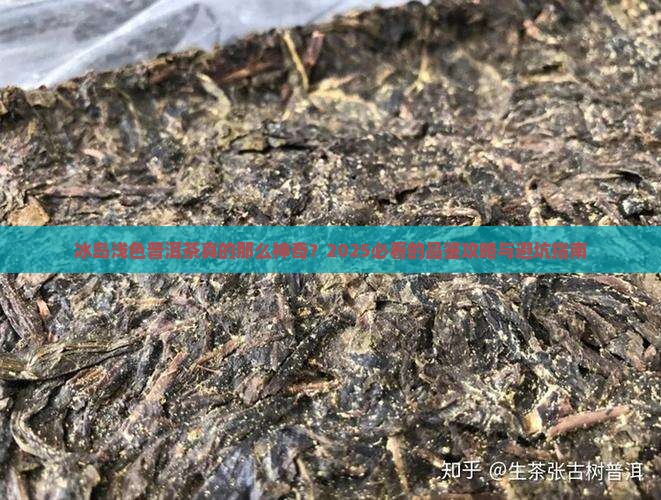 冰岛浅色普洱茶