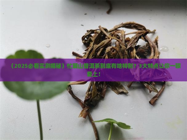 忙麓山普洱茶特点