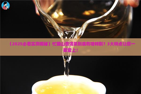 忙麓山普洱茶特点