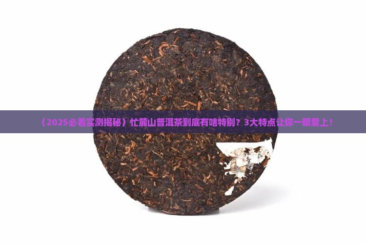 忙麓山普洱茶特点