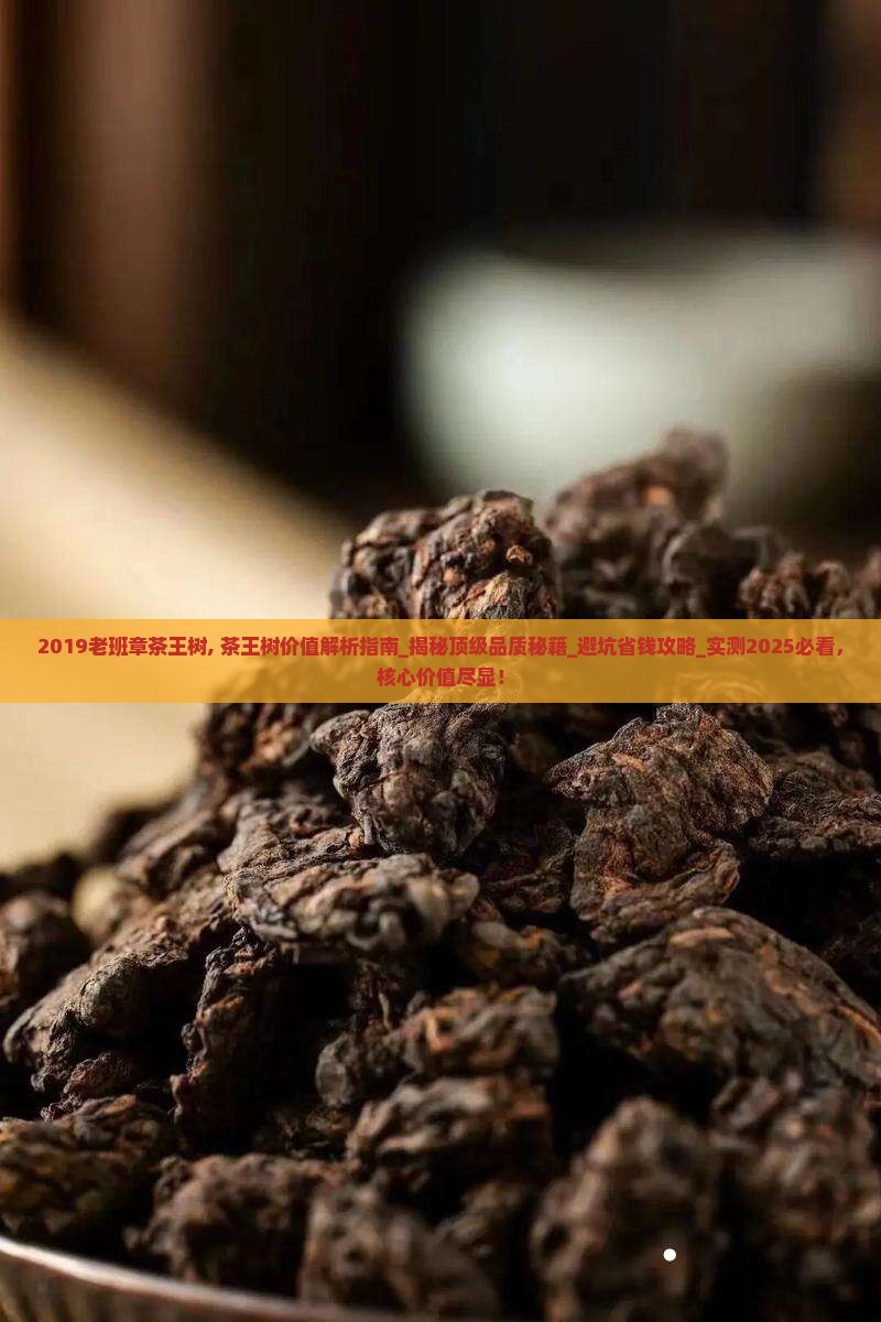 2019老班章茶王树