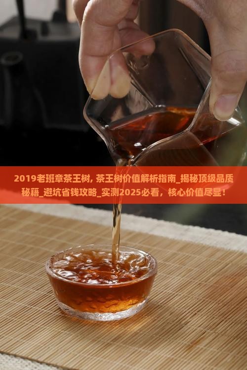 2019老班章茶王树
