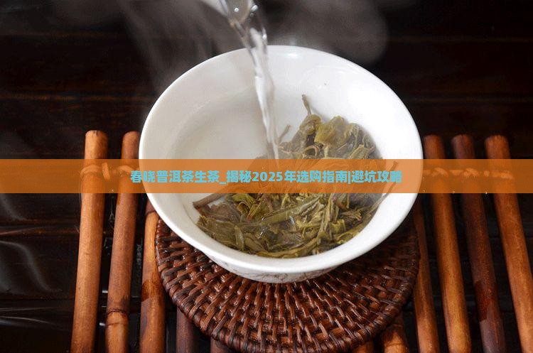 春晓普洱茶生茶