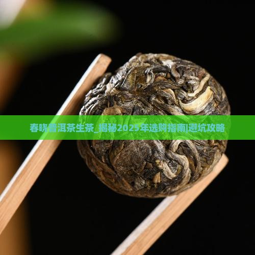 春晓普洱茶生茶