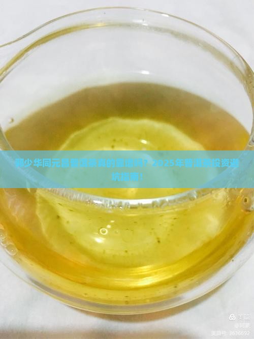 郭少华同元昌普洱茶