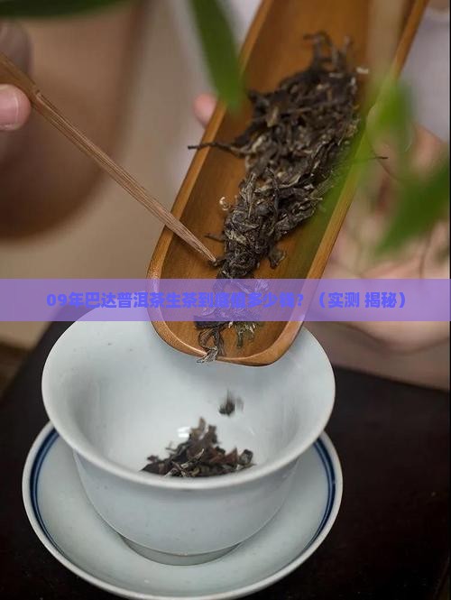 09年巴达普洱茶生茶价格