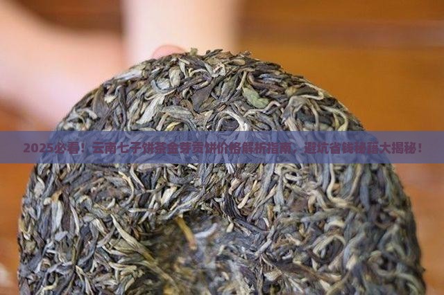 云南七子饼茶金芽贡饼价格