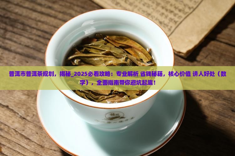 普洱市普洱茶规划